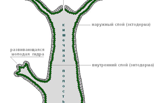 Ссылка в магазин на кракен